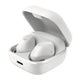 Sennheiser ACCENTUM True Wireless Earbuds with Hybrid ANC